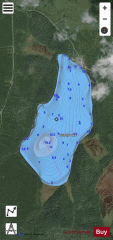Grizzly Lake depth contour Map - i-Boating App - Satellite