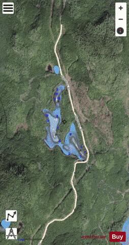 Larry Lake depth contour Map - i-Boating App - Satellite