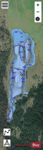 Lyons Lake depth contour Map - i-Boating App - Satellite