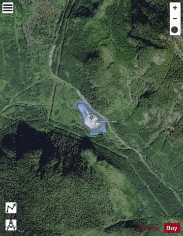 Malaspina Lake depth contour Map - i-Boating App - Satellite