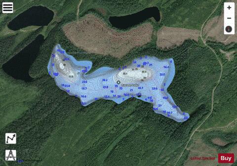 Racoon Lake depth contour Map - i-Boating App - Satellite
