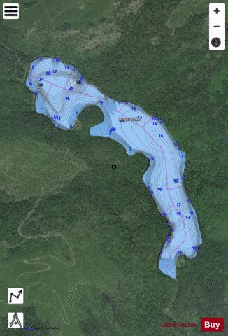 Roger Lake depth contour Map - i-Boating App - Satellite