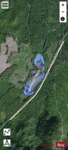 Rooney Lake depth contour Map - i-Boating App - Satellite
