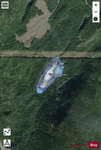 Snowshoe Lake depth contour Map - i-Boating App - Satellite