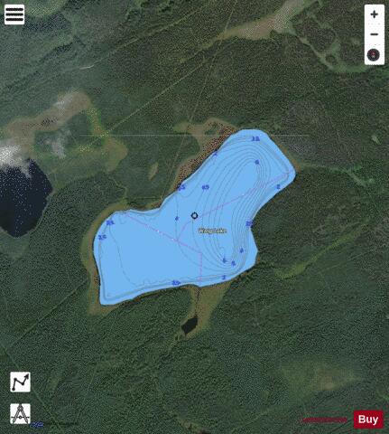 Wasp Lake depth contour Map - i-Boating App - Satellite