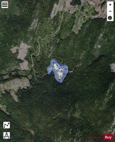 Williamson Lake depth contour Map - i-Boating App - Satellite