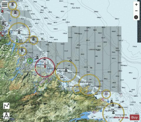 Cape Harrison to/\xE0 Nunaksaluk Island Marine Chart - Nautical Charts App - Satellite