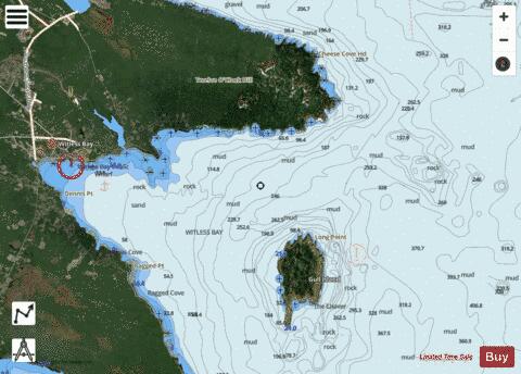 Bay Bulls and/et Witless Bay Marine Chart - Nautical Charts App - Satellite