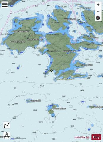 Ice Tickle and/et Indian Harbour Marine Chart - Nautical Charts App - Satellite