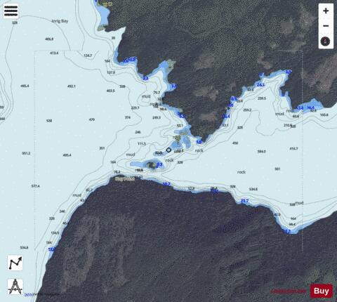 Nelson Narrows Marine Chart - Nautical Charts App - Satellite