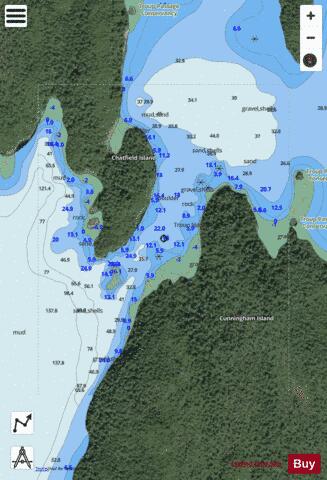 Troup Narrows Marine Chart - Nautical Charts App - Satellite