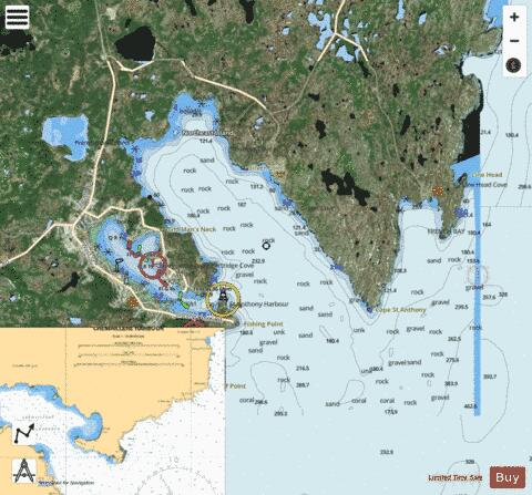 St. Anthony Bight and Harbour Marine Chart - Nautical Charts App - Satellite