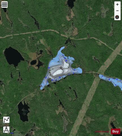 Roney Lake depth contour Map - i-Boating App - Satellite