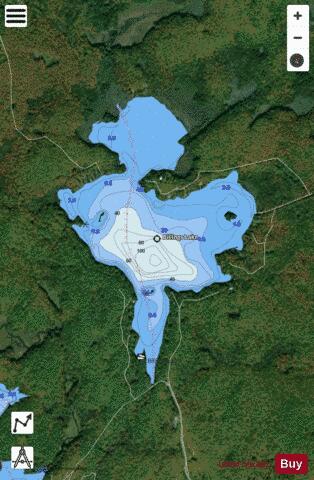 Billings Lake depth contour Map - i-Boating App - Satellite