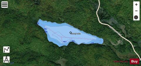 Stoney Lake depth contour Map - i-Boating App - Satellite