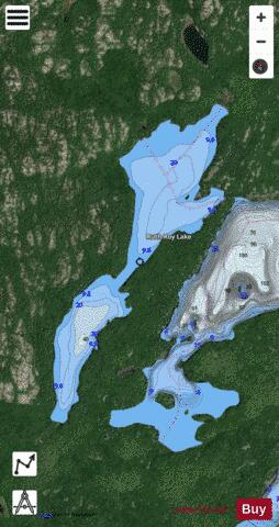 Ruth-Roy Lake depth contour Map - i-Boating App - Satellite