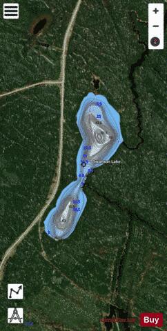 Swanson Lake depth contour Map - i-Boating App - Satellite