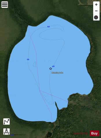 Manning Lake depth contour Map - i-Boating App - Satellite