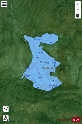Petauguin Lake depth contour Map - i-Boating App - Satellite