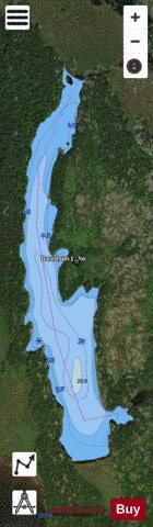 Davidson Lake depth contour Map - i-Boating App - Satellite