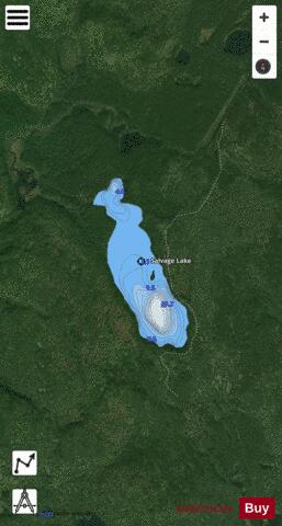 Salvage Lake depth contour Map - i-Boating App - Satellite
