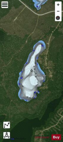 Coyne Lake depth contour Map - i-Boating App - Satellite