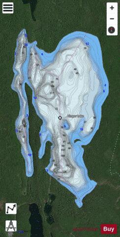 Zinger Lake depth contour Map - i-Boating App - Satellite