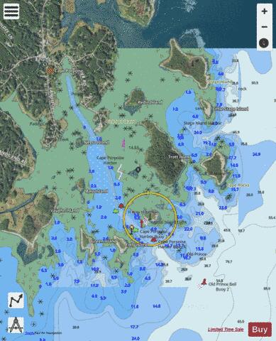 CAPE PORPOISE HARBOR Marine Chart - Nautical Charts App - Satellite