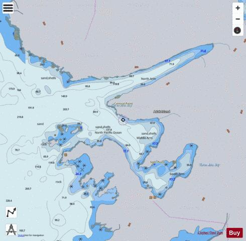 ADAK ISLAND  THREE ARM BAY Marine Chart - Nautical Charts App - Satellite