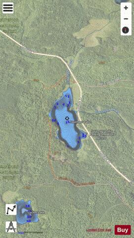 Swamper Lake depth contour Map - i-Boating App - Satellite