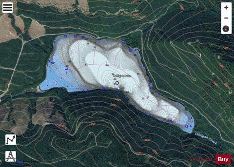 Calligan Lake,  King County depth contour Map - i-Boating App - Satellite