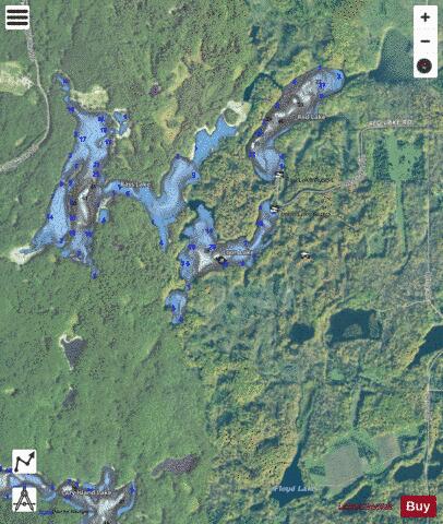 Loon Lake D depth contour Map - i-Boating App - Satellite