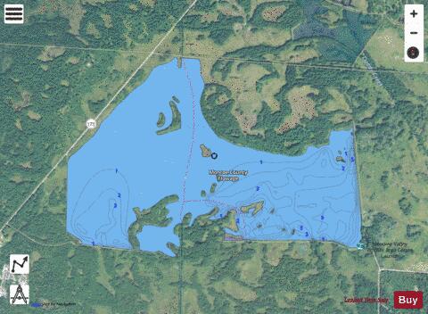 Monroe County Flowage depth contour Map - i-Boating App - Satellite