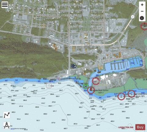 Ruth Pond depth contour Map - i-Boating App - Satellite