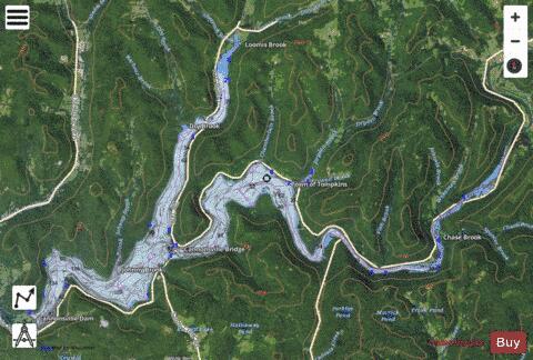 Cannonsville Reservoir depth contour Map - i-Boating App - Satellite