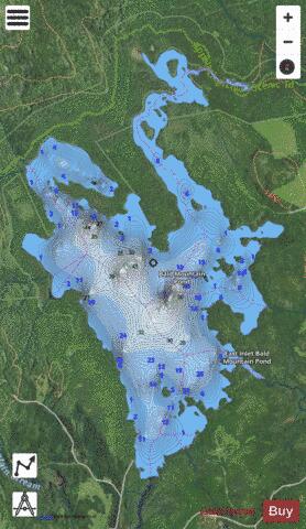 Bald Mountain Pond depth contour Map - i-Boating App - Satellite