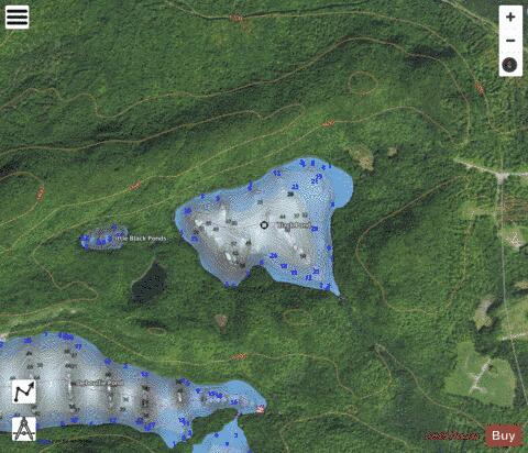 Black Pond depth contour Map - i-Boating App - Satellite