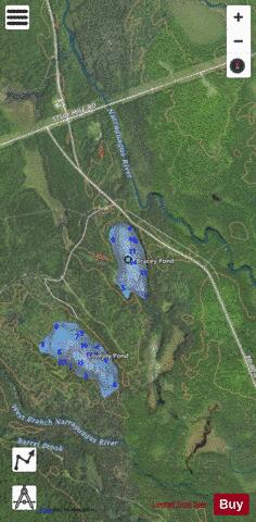 Bracey Pond depth contour Map - i-Boating App - Satellite