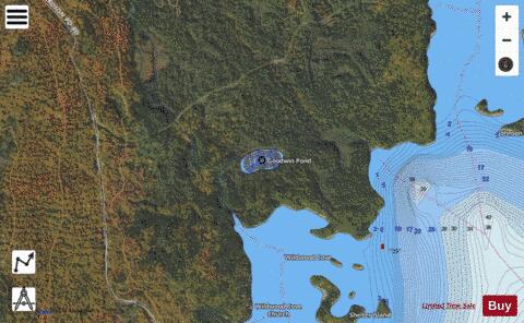 Goodwin Pond depth contour Map - i-Boating App - Satellite
