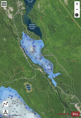 Lower Springy Pond depth contour Map - i-Boating App - Satellite