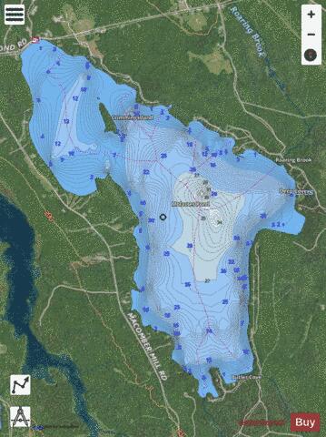 Molasses Pond depth contour Map - i-Boating App - Satellite