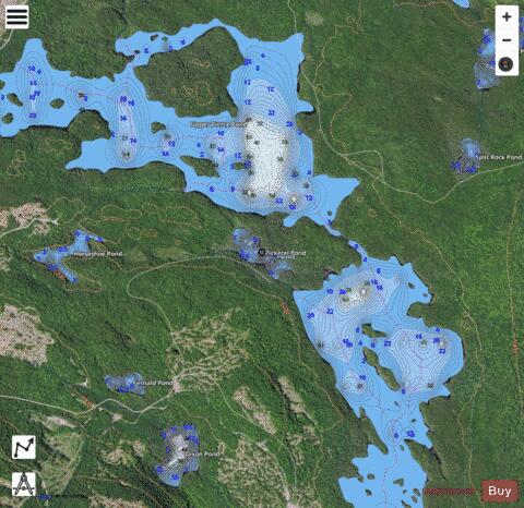Pickerel Pond depth contour Map - i-Boating App - Satellite