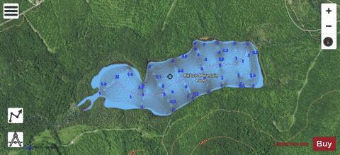 Pickett Mountain Pond depth contour Map - i-Boating App - Satellite
