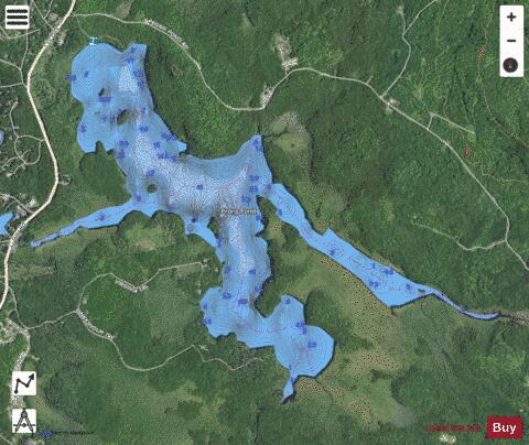 Prong Pond depth contour Map - i-Boating App - Satellite