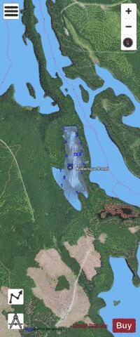 Roderique Pond depth contour Map - i-Boating App - Satellite