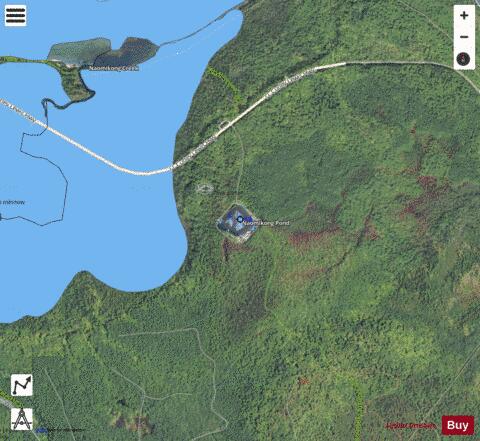 Naomikong Pond depth contour Map - i-Boating App - Satellite