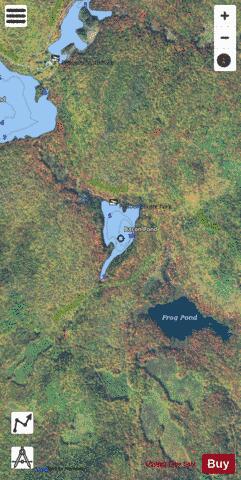 Bacon Pond depth contour Map - i-Boating App - Satellite