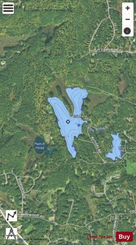 Cub Pond depth contour Map - i-Boating App - Satellite