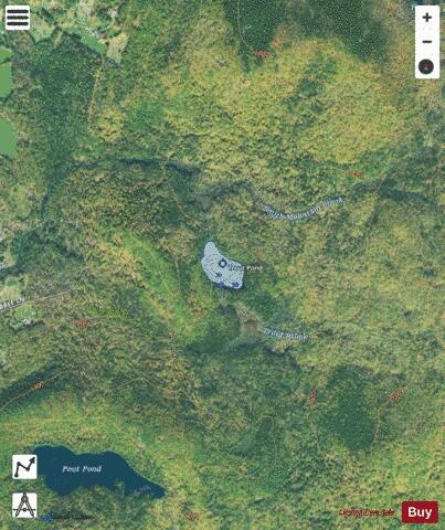 Trout Pond depth contour Map - i-Boating App - Satellite