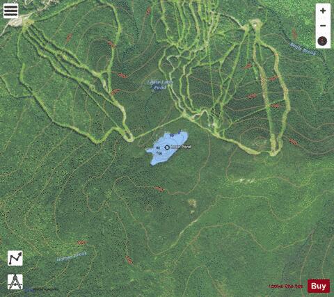 Loon Pond depth contour Map - i-Boating App - Satellite